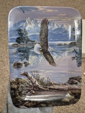 Wild Wings 1995 "As The Eagle Soars" Collectible Plate Dawn's Call Plate #4196B